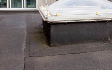 disadvantages of Dunbog flat roofs