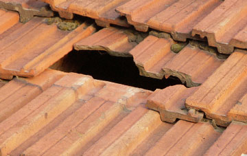 roof repair Dunbog, Fife