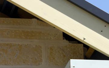 soffit repair Dunbog